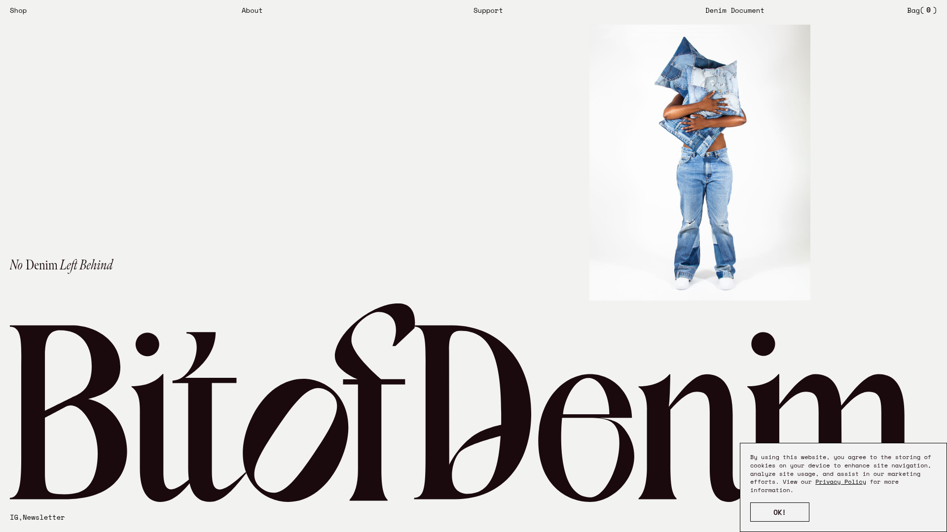 Bit of Denim Minimalist E-commerce Hero