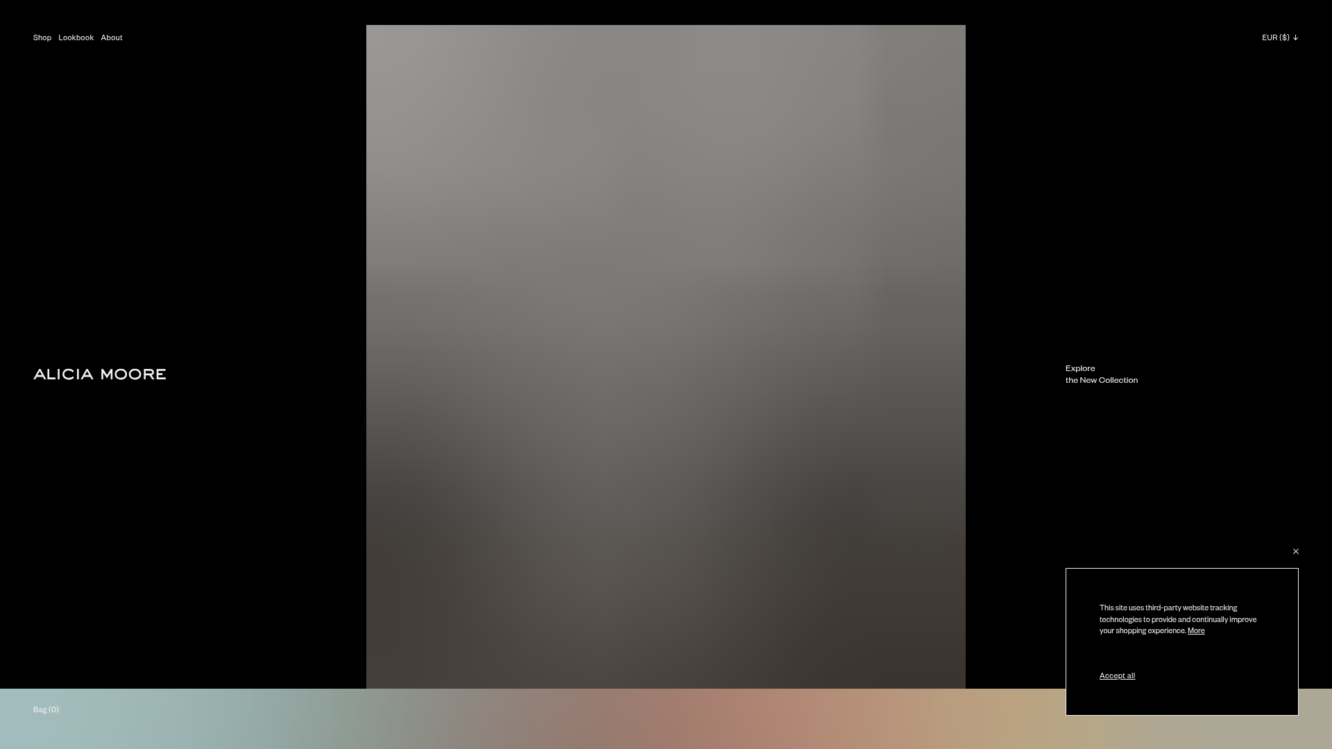 Alicia Moore Fashion Portfolio