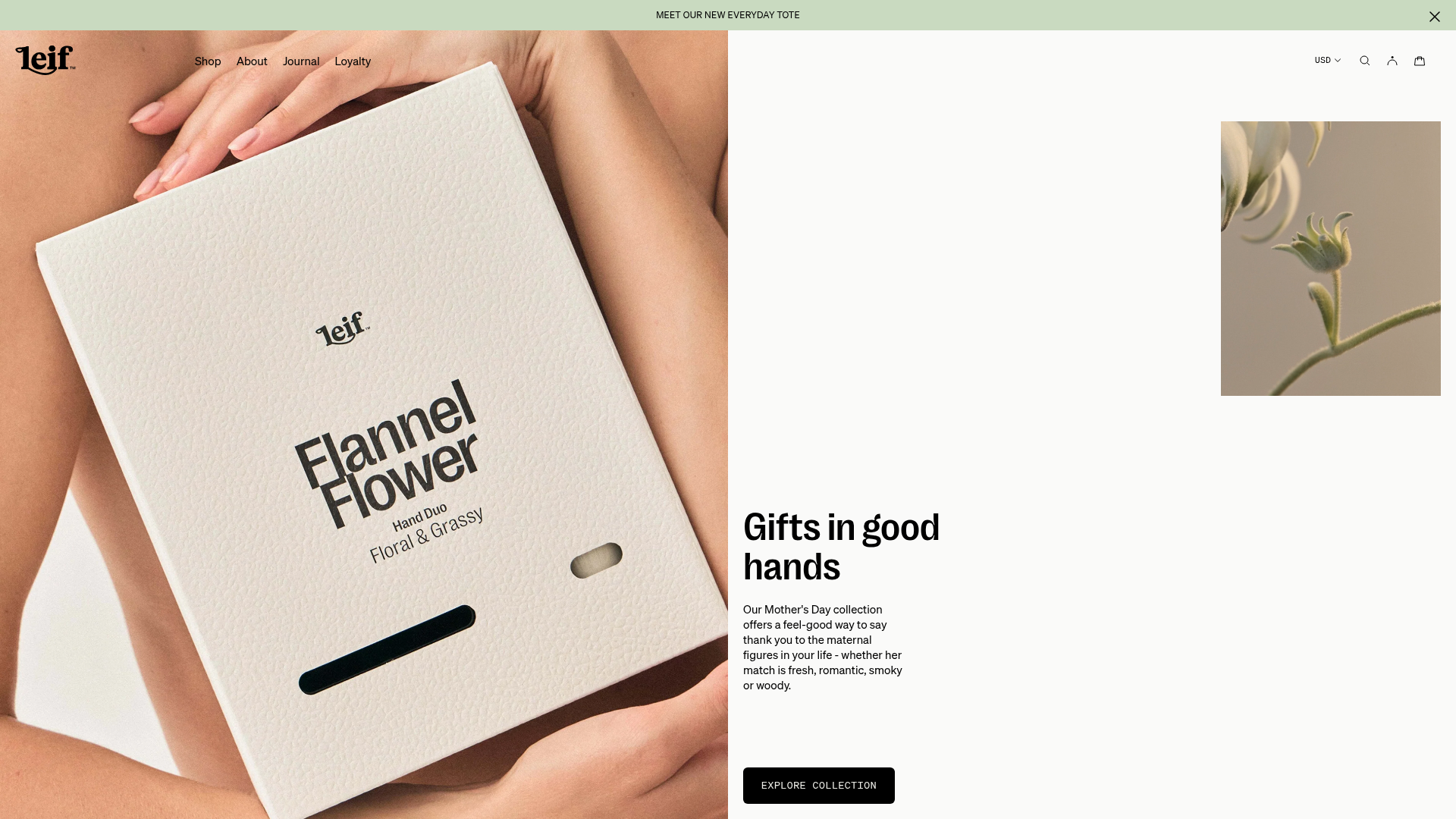 Leif Modern Botanical E-commerce Store