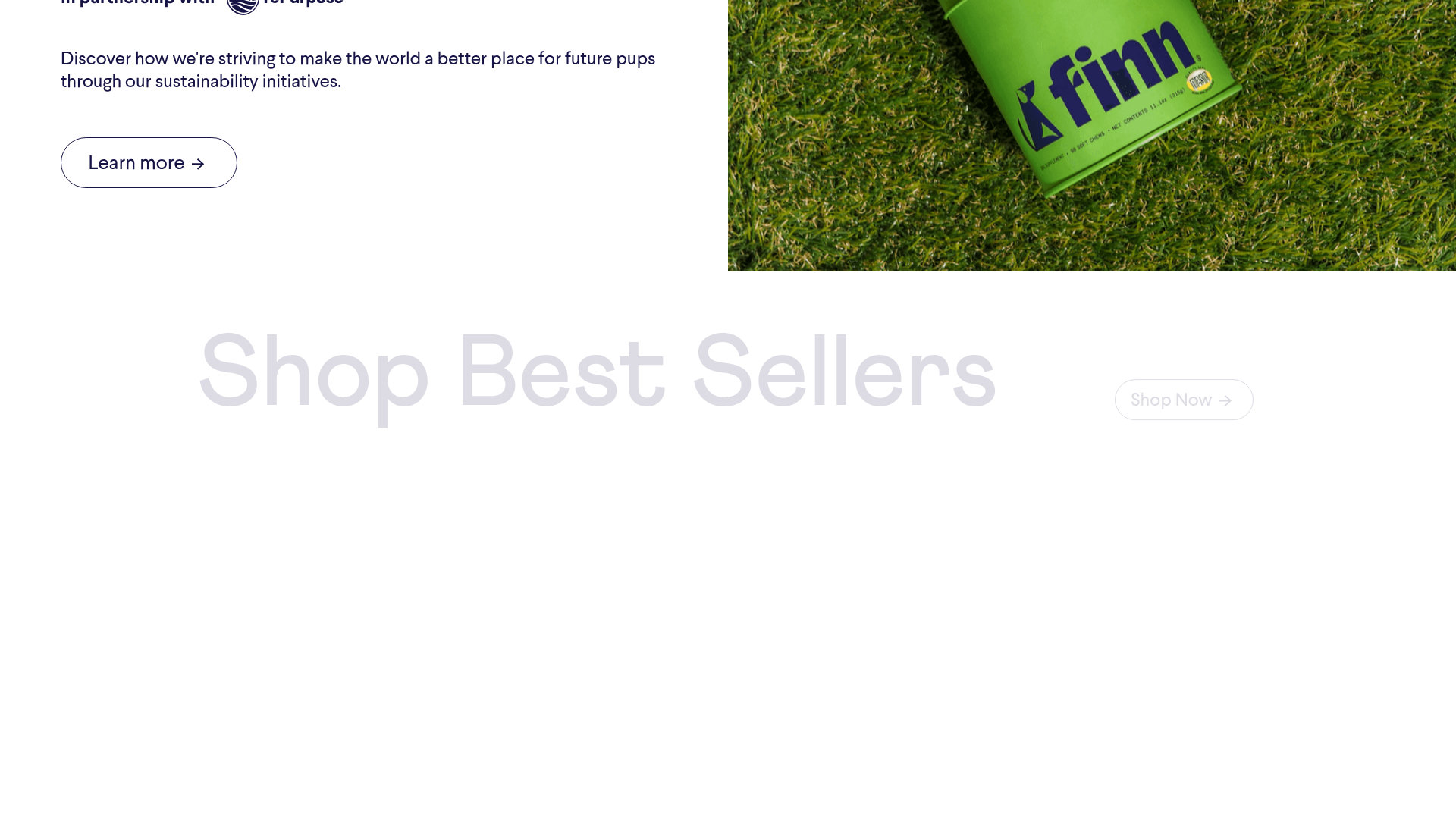 Finn Pet Supplements Landing Page