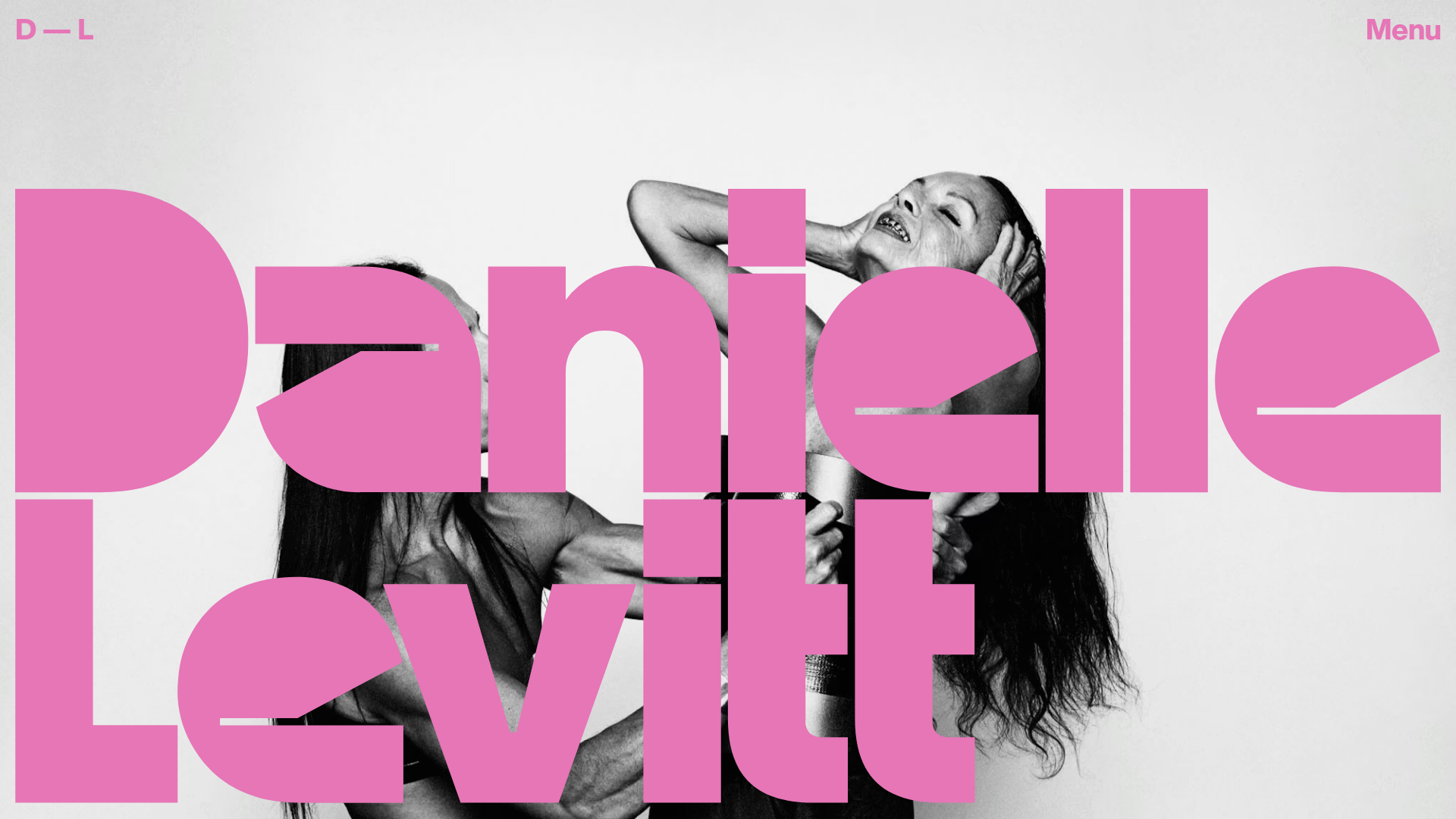 Danielle Levitt Portfolio Hero Layout