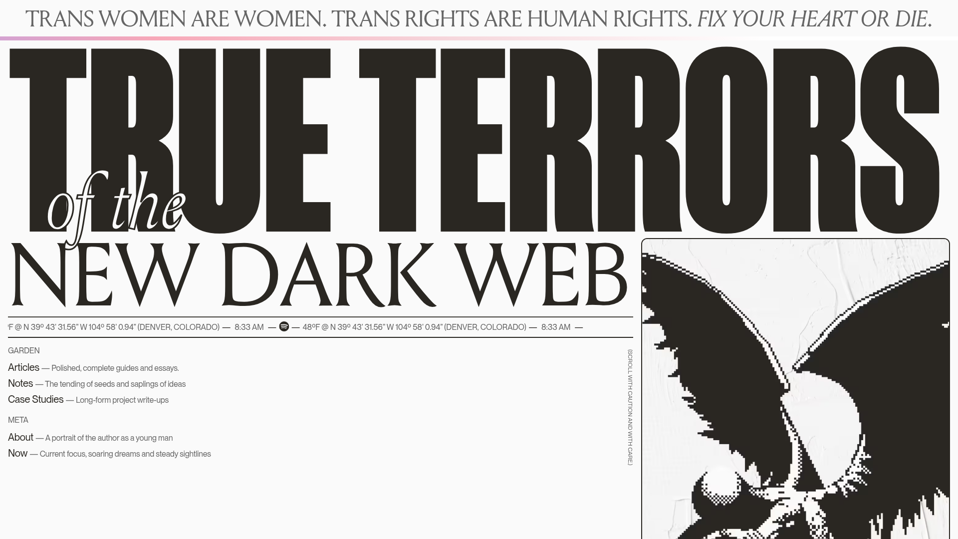 True Terrors Creative Developer Portfolio