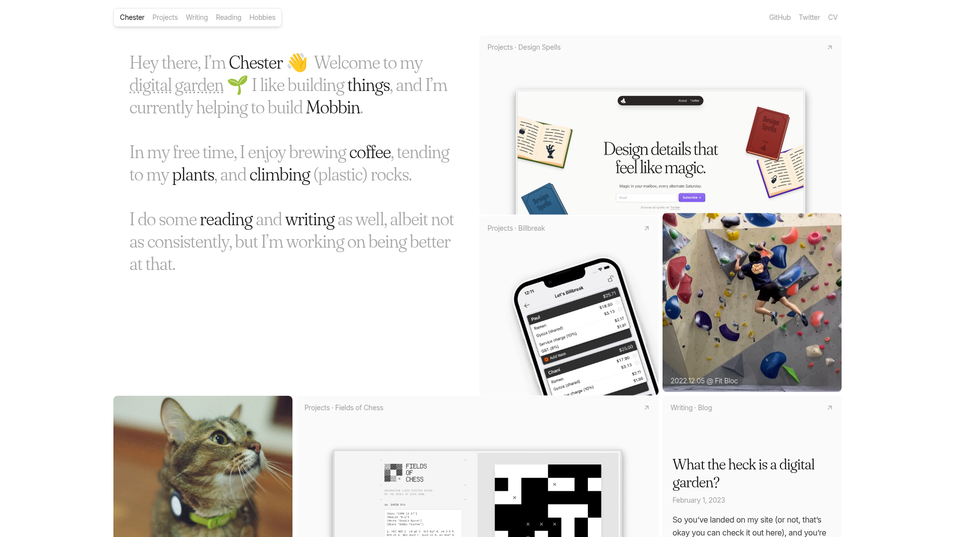 Chester's Bento Grid Personal Portfolio
